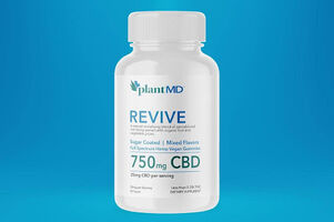 Revive CBD Gummies: Enhancing Your Mind and Body