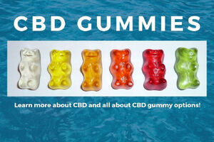 How Gentle Grove CBD Gummies Work?