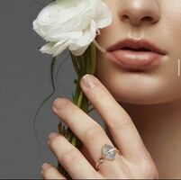 Discover the Brilliance of Jasmi Jewels