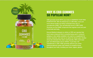 What is CBD Care Gummies?