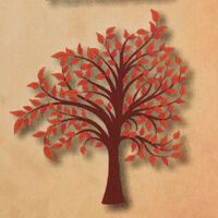 Tree Top Creations LLC