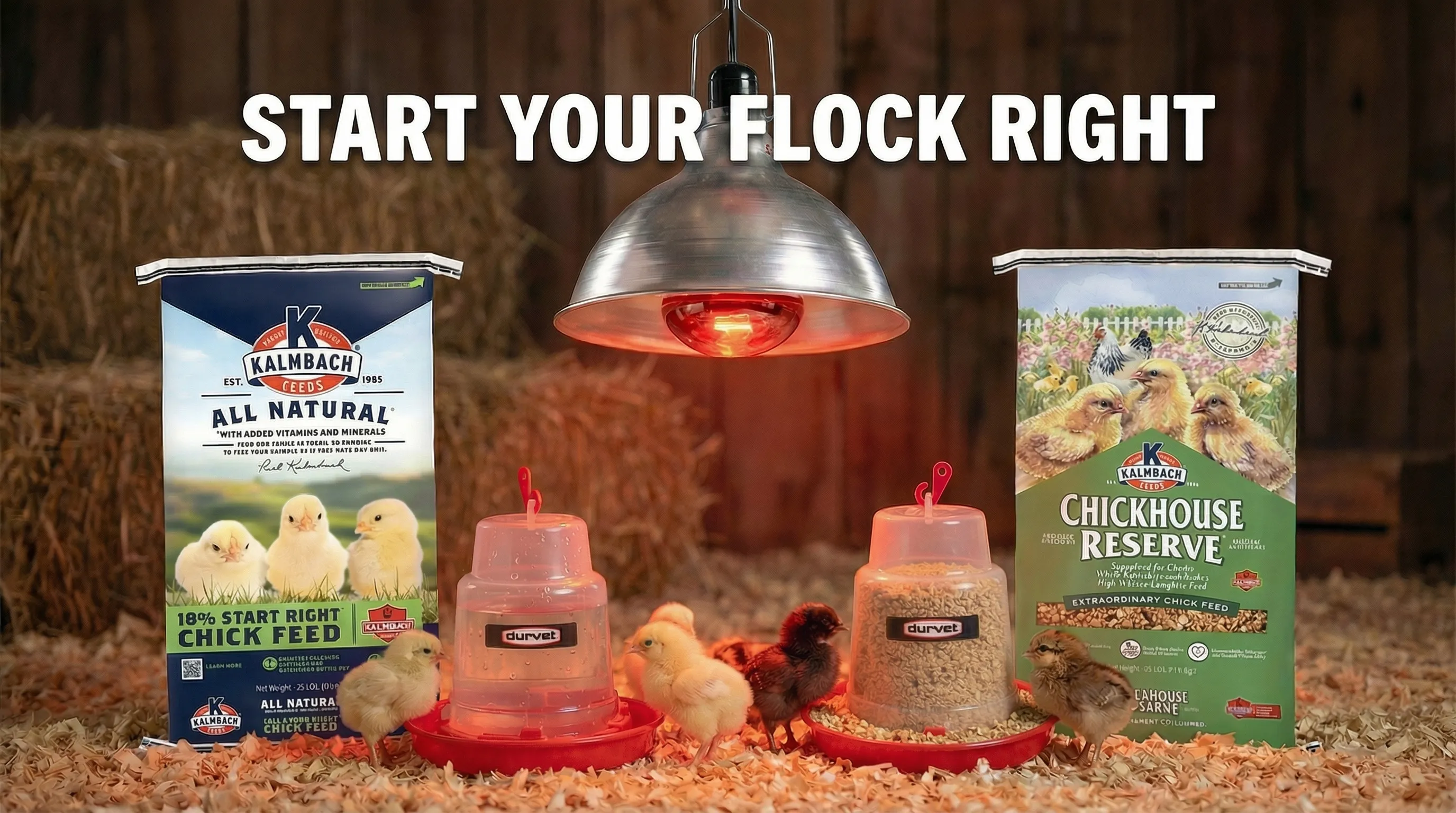 Baby chicks and poultry supplies at Liberty Farm Home and Garden