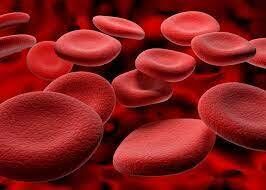 Blood Balance Australia : Reviews, Cost | What To Know!