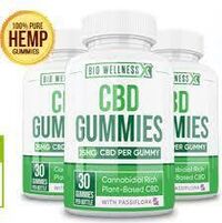 Bio Wellness CBD Gummies