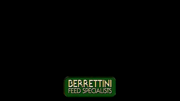 Berretini Feed Specialists - #5