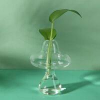 Mushroom Propagation Vase