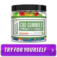 Canna Organic CBD Gummies Results