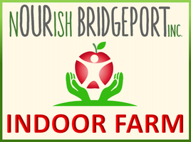 nOURish BRIDGEPORT