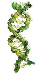 phytoepigen