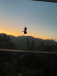<p>Welcome to the Hive Journal</p>