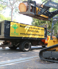 Royal Tree Services