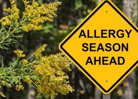 Allergy Season - #2