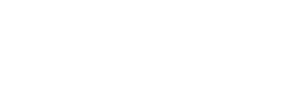 Vice Armory