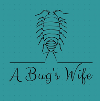 A Bug's Wife