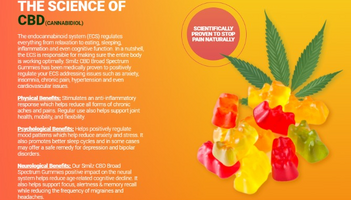 Vitacore CBD Gummies' Advantages