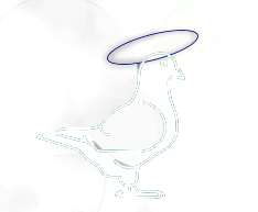 thefadedpigeon