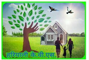 Online Store