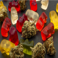 Joint Plus CBD Gummies What is the Real Price & Scam Exposed 2024?