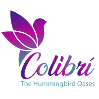 Colibri The Hummingbird Oases