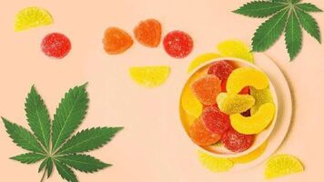 Peak 8 CBD Gummies Reviews: Scam or Legit? Does It Work?